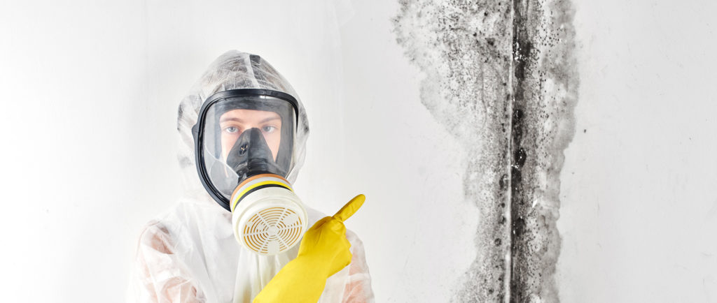 banershutterstock_1146642371